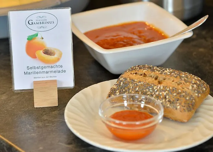 Garni Gambrinus باساو