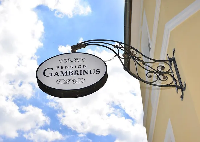 فندق Garni Gambrinus 3*