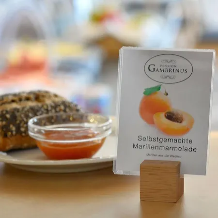 ゲストハウス Gambrinus